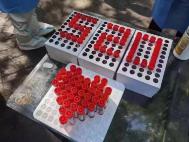 Nucleic acid detection reagents